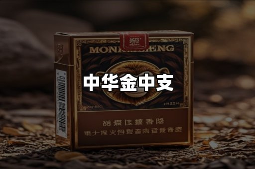 中华金中支